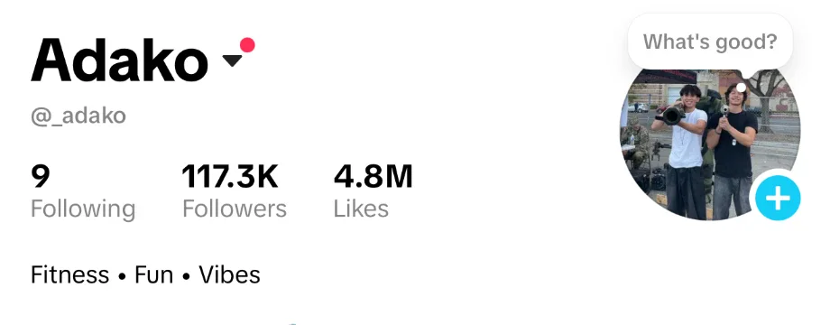 Screenshot of the @_adako TikTok profile showing 9 following, 117.3K followers and 4.8M likes